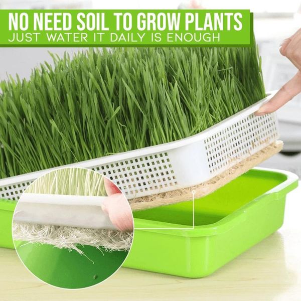 planters & pots plastic seed sprouter tray durable sprouting for microgreens sprouts grow shop nursery trays indoor garden 33x26x5cm
planters & pots plastic seed sprouter tray durable sprouting for microgreens sprouts grow shop nursery trays indoor garden 33x26x5cm