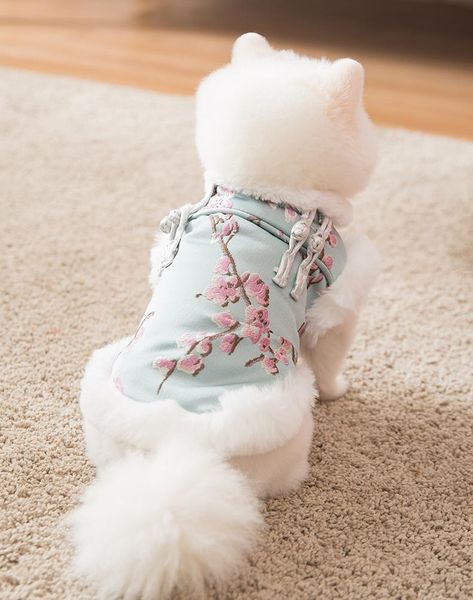 dog apparel puppy two-legged clothes lamei spring festival tang suit teddy pomeranian padded bear cat pet winter thick
dog apparel puppy two-legged clothes lamei spring festival tang suit teddy pomeranian padded bear cat pet winter thick