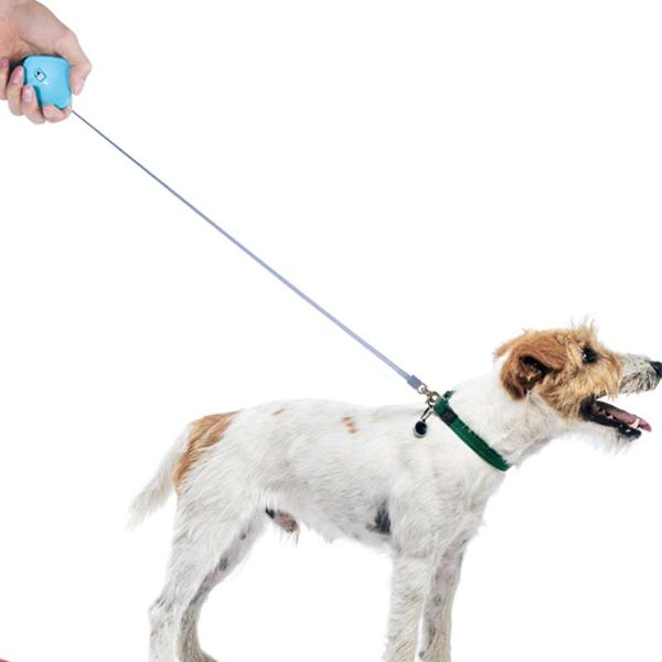 dog collars & leashes walking leash pet mini can be carried in a pocket locking function bearing 5kg tension automatic withdrawal 2m length
dog collars & leashes walking leash pet mini can be carried in a pocket locking function bearing 5kg tension automatic withdrawal 2m length