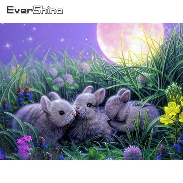 diamond painting evershine 5d embroidery full display rabbits cross stitch animals rhinestones pictures mosaic
diamond painting evershine 5d embroidery full display rabbits cross stitch animals rhinestones pictures mosaic