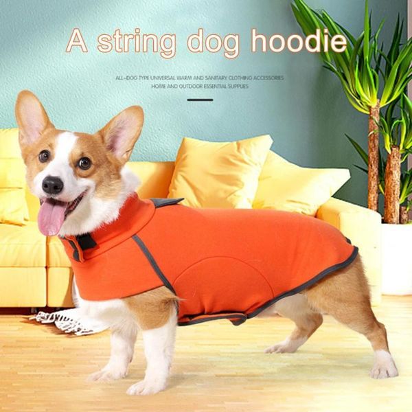dog apparel pretty pet clothes fastener tape fine workmanship thickened puppy pullover sweatshirt costume
dog apparel pretty pet clothes fastener tape fine workmanship thickened puppy pullover sweatshirt costume