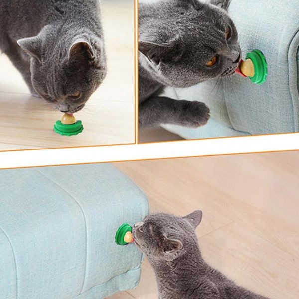 cat toys 5pcs healthy nutrition candy snack ball solid licking gel energy help digestio
cat toys 5pcs healthy nutrition candy snack ball solid licking gel energy help digestio