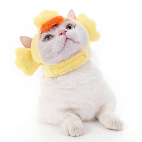 soft and cute cat headgear, dog cross dress, cute pet hat, funny cross dress, cat accessories, pet supplies, clothes
soft and cute cat headgear, dog cross dress, cute pet hat, funny cross dress, cat accessories, pet supplies, clothes