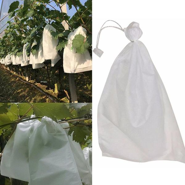 planters & pots 100pcs grape protection bags for fruit vegetable grapes mesh bag against insect pouch waterproof pest control -bird garden
planters & pots 100pcs grape protection bags for fruit vegetable grapes mesh bag against insect pouch waterproof pest control -bird garden
