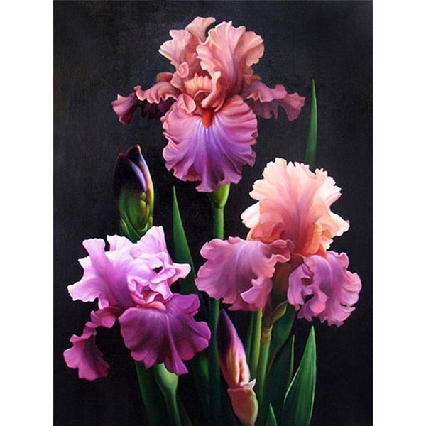 diamond painting 5d diy flower iris full drill bead embroidery bloom manual mosaic rhinestones living room decor gift h60
diamond painting 5d diy flower iris full drill bead embroidery bloom manual mosaic rhinestones living room decor gift h60