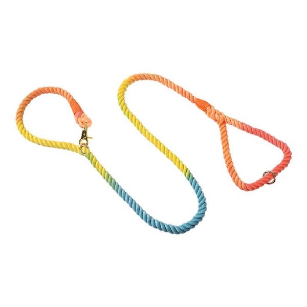 cat collars & leads 150cm dog-leash collar with leash polyester printed dog pet walking belt for small medium and large dogs accessory
cat collars & leads 150cm dog-leash collar with leash polyester printed dog pet walking belt for small medium and large dogs accessory