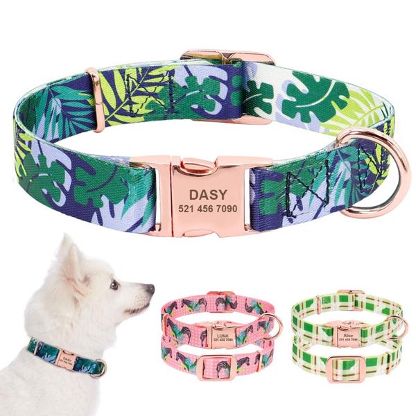 dog collars & leashes personalized collar custom puppy pet pitbull pets acessorios products small for medium large
dog collars & leashes personalized collar custom puppy pet pitbull pets acessorios products small for medium large
