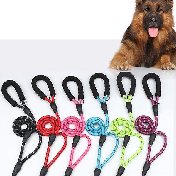 dog collars & leashes 1pc leash 6 colors reflective double handles tenacity training tool pet walking premium nylon accessories
dog collars & leashes 1pc leash 6 colors reflective double handles tenacity training tool pet walking premium nylon accessories