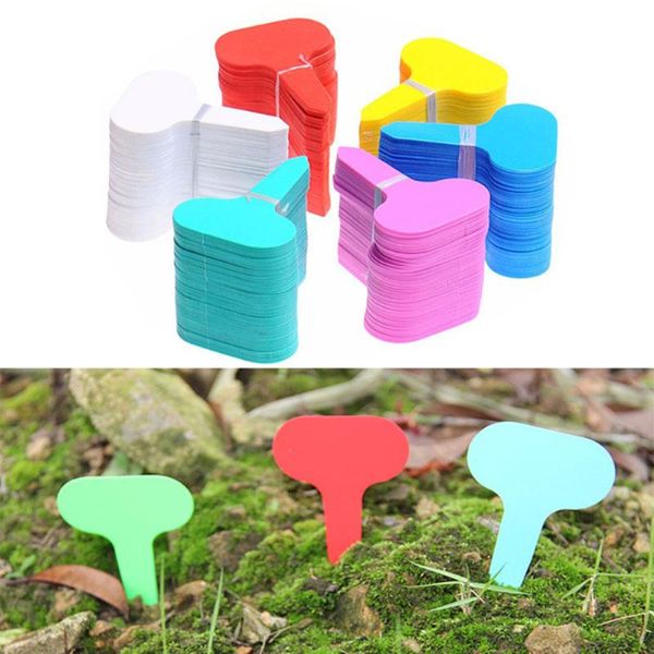 100pcs t-type plant labels plastic stake tags waterproof plant sign markers for garden nursery seed flower vegetable
100pcs t-type plant labels plastic stake tags waterproof plant sign markers for garden nursery seed flower vegetable