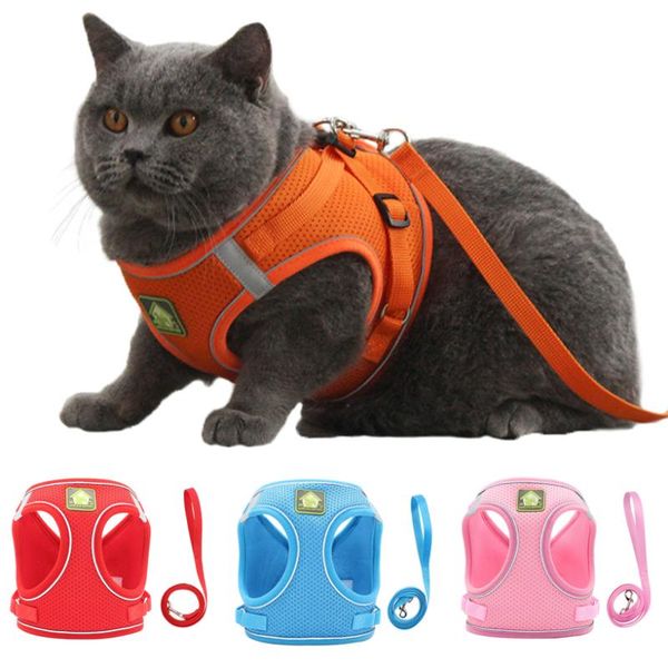 cat collars & leads reflective puppy harness vest with walking lead leash adjustable kitten collar polyester mesh for small medium dogs
cat collars & leads reflective puppy harness vest with walking lead leash adjustable kitten collar polyester mesh for small medium dogs
