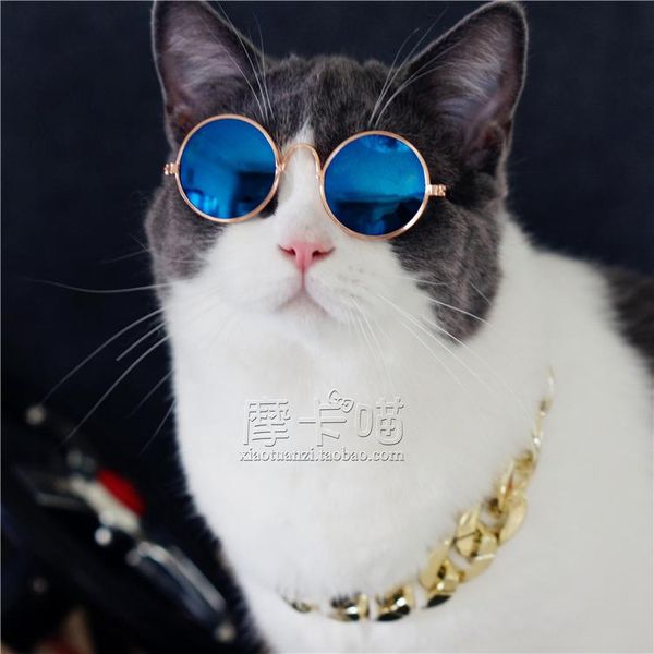 cat costumes pet accessories cats dogs sunglasses tyrant big gold chain trend personality po matching
cat costumes pet accessories cats dogs sunglasses tyrant big gold chain trend personality po matching