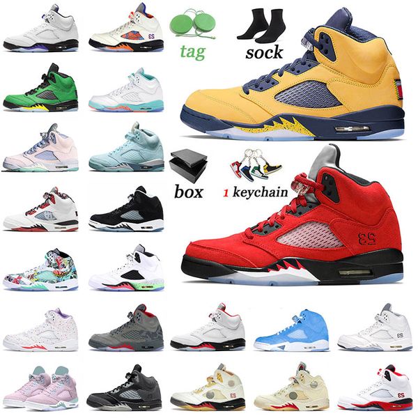 jumpman off 5 5s v basketball shoes shattered backboard alternate bel-airs laser crimson voltage purple jade horizon unc white sneakers spor
jumpman off 5 5s v basketball shoes shattered backboard alternate bel-airs laser crimson voltage purple jade horizon unc white sneakers spor