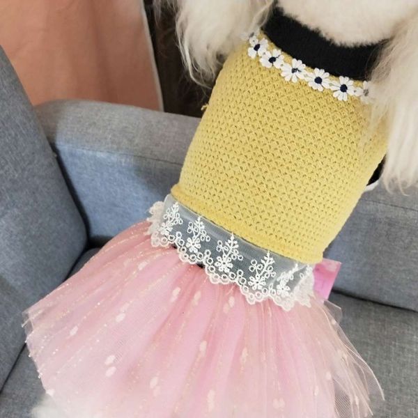 pet dog autumn yorkshire teddy high elastic sweater princs two piece bixiong pompous skirt
pet dog autumn yorkshire teddy high elastic sweater princs two piece bixiong pompous skirt