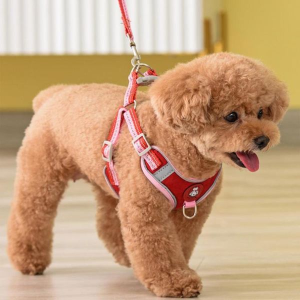 dog collars & leashes 1set reflective strip design puppy chest strap + traction rope pet set breathable for outdoor training supplies xs/s/m
dog collars & leashes 1set reflective strip design puppy chest strap + traction rope pet set breathable for outdoor training supplies xs/s/m