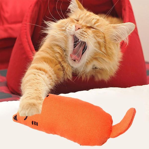 cat toys 2pc grinding catnip funny interactive plush toy pet kitten chewing thumb bite mint for cats teeth
cat toys 2pc grinding catnip funny interactive plush toy pet kitten chewing thumb bite mint for cats teeth