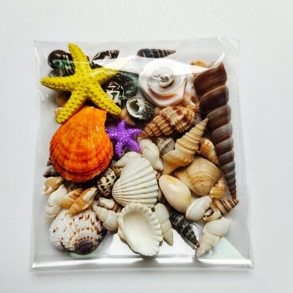 novelty items 1 bag lots of interesting colored mixed small sea shells aquarium nautical decoration ornaments natural mini conch mediterrane
novelty items 1 bag lots of interesting colored mixed small sea shells aquarium nautical decoration ornaments natural mini conch mediterrane