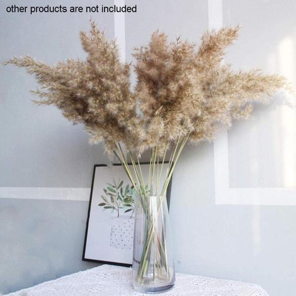 decorative flowers & wreaths 10pcs simulation dried flower set reed decor plants home wedding party table artificial grass original color w
decorative flowers & wreaths 10pcs simulation dried flower set reed decor plants home wedding party table artificial grass original color w