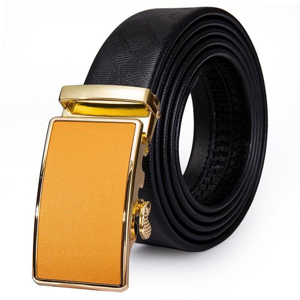 belts ak-21479 fashion golden men's belt cowhide strap automatic male genuine leather men unique designer, Black;brown
belts ak-21479 fashion golden men's belt cowhide strap automatic male genuine leather men unique designer, Black;brown