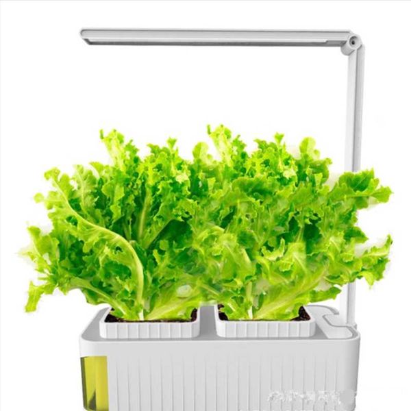 goodland led grow light usb phyto lamp full spectrum fitolampy with control for plants seedlings flower indoor fitolamp grow box
goodland led grow light usb phyto lamp full spectrum fitolampy with control for plants seedlings flower indoor fitolamp grow box