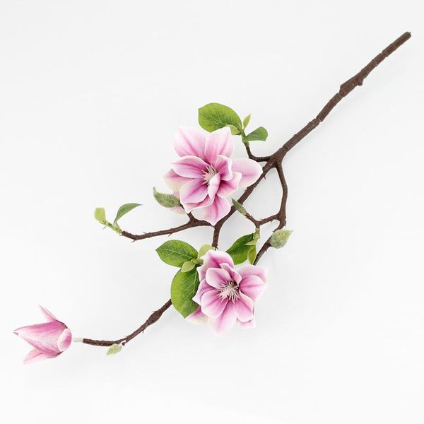 3 head handfeel film high-quality imitation small magnolia home furnishings engineering soft decoration art flower arrangement a
3 head handfeel film high-quality imitation small magnolia home furnishings engineering soft decoration art flower arrangement a