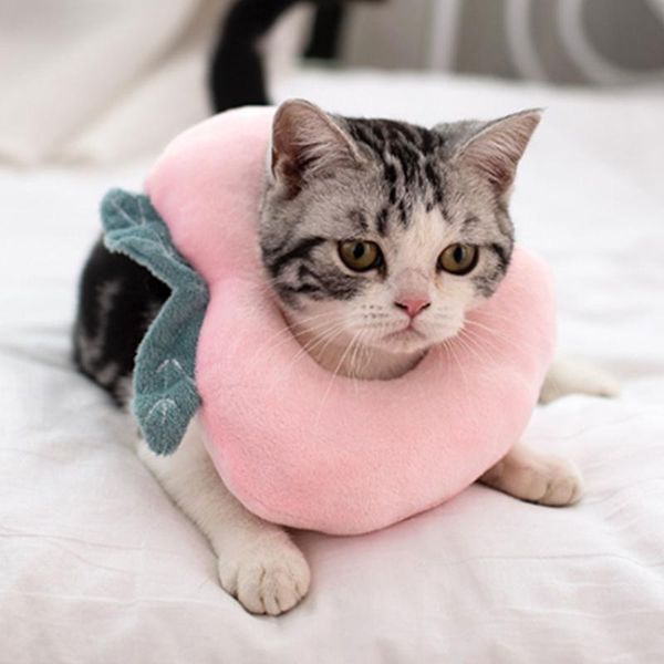 cat carriers,crates & houses adjustable elizabeth collar anti-licking pet recovery ring anti-bite protective wound healing circle fo
cat carriers,crates & houses adjustable elizabeth collar anti-licking pet recovery ring anti-bite protective wound healing circle fo