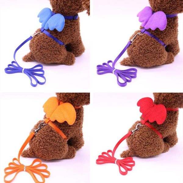 cat collars & leads cute angel wing small dog harness and leash set adjustable puppy nylon strap collar pet walking for cats
cat collars & leads cute angel wing small dog harness and leash set adjustable puppy nylon strap collar pet walking for cats