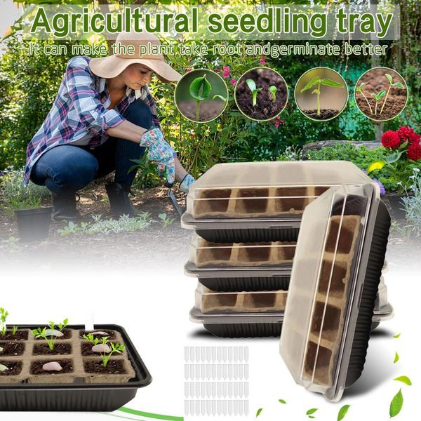 planters & pots cultivation pot combination nursery box garden combined square small transparent agricultural seedling tray
planters & pots cultivation pot combination nursery box garden combined square small transparent agricultural seedling tray