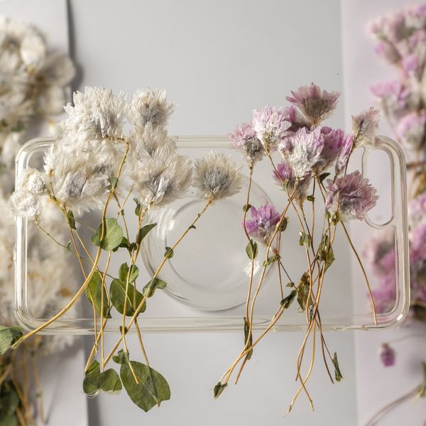 scale care chrysanthemum with branches and dry flowers embossed plant specimens p frame table lamp real flower nail enhancement festival gif
scale care chrysanthemum with branches and dry flowers embossed plant specimens p frame table lamp real flower nail enhancement festival gif