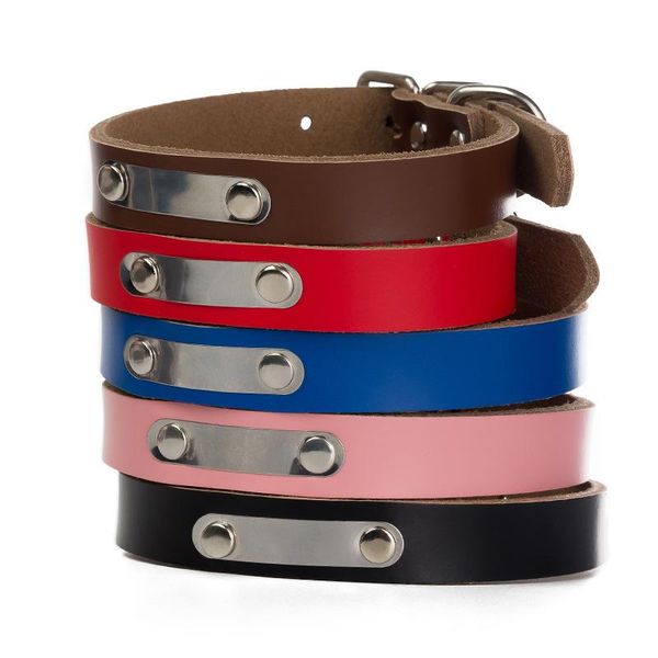 dog collars & leashes collar for dogs pets accessories perro leash harness products puppy cats perros muzzle chain
dog collars & leashes collar for dogs pets accessories perro leash harness products puppy cats perros muzzle chain