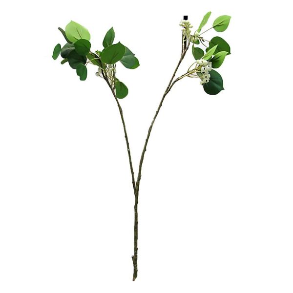 decorative flowers & wreaths artificial plant fortune fruit simulation flower fat choi pulp 78cm ornaments decoration shop window decorate i
decorative flowers & wreaths artificial plant fortune fruit simulation flower fat choi pulp 78cm ornaments decoration shop window decorate i