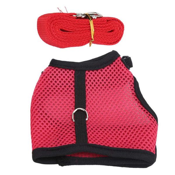 cat collars & leads leash and harness breakaway with lead adjustable soft pet walking for rabbits small
cat collars & leads leash and harness breakaway with lead adjustable soft pet walking for rabbits small
