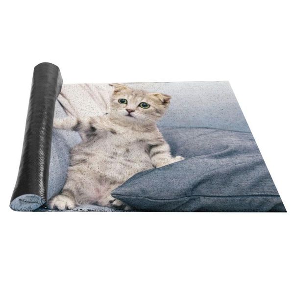 carpets cute cat sand scraping dust door entrance mat hallway kitchen bath non-slip rug removal carpet wire loop footpad doormat
carpets cute cat sand scraping dust door entrance mat hallway kitchen bath non-slip rug removal carpet wire loop footpad doormat