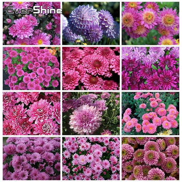 diamond painting evershine flowers with square rhinestones cross stitch mosaic full set embroidery daisy home decoration
diamond painting evershine flowers with square rhinestones cross stitch mosaic full set embroidery daisy home decoration