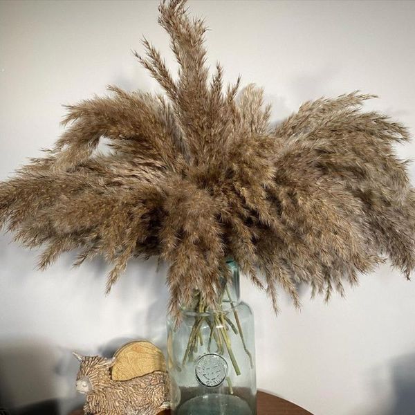 decorative flowers & wreaths reed bulrush pampas grass decor dried artificial bunch feather natural phragmites plants home wedding
decorative flowers & wreaths reed bulrush pampas grass decor dried artificial bunch feather natural phragmites plants home wedding