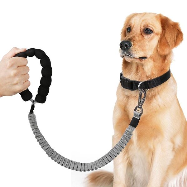 dog collars & leashes 2021 pet supplies small traction belt large rope nylon collar running
dog collars & leashes 2021 pet supplies small traction belt large rope nylon collar running