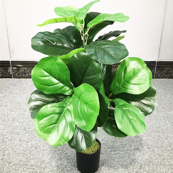 decorative flowers & wreaths 65cm 3 forks tropical leaves large artificial plants fake ficus tree branches plastic banyan leafs for home off
decorative flowers & wreaths 65cm 3 forks tropical leaves large artificial plants fake ficus tree branches plastic banyan leafs for home off