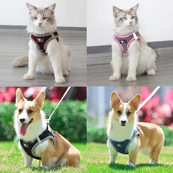 dog collars & leashes cat vest harness air-mesh breathable reflective and leash no-pull step-in padded small medium dogs
dog collars & leashes cat vest harness air-mesh breathable reflective and leash no-pull step-in padded small medium dogs