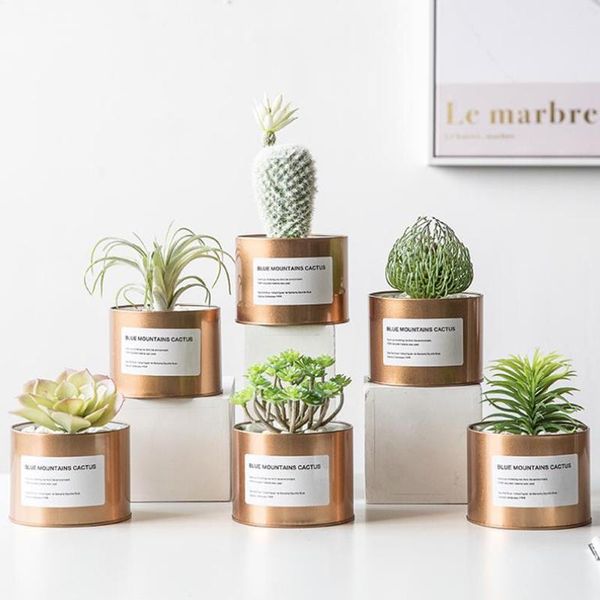 decorative flowers & wreaths artificial succulents fake grass small potted cactus indoor deskdecoration simulation flower home diy garde
decorative flowers & wreaths artificial succulents fake grass small potted cactus indoor deskdecoration simulation flower home diy garde