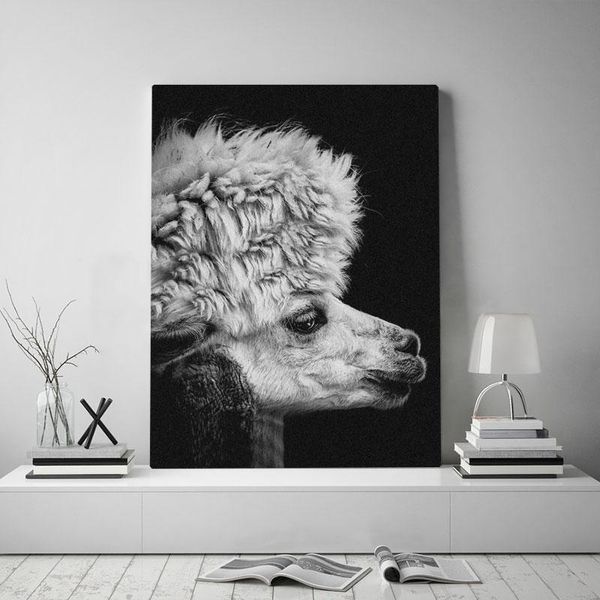wall art poster hd prints modular cool cute lama portrait pictures canvas painting home decoration for living room no framework
wall art poster hd prints modular cool cute lama portrait pictures canvas painting home decoration for living room no framework