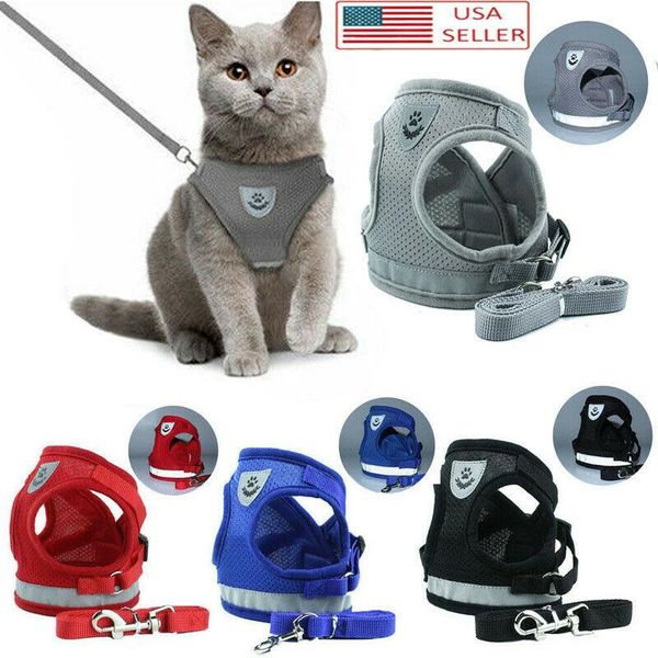 dog collars & leashes breathable pet mesh harness and leash set puppy cat est walk collar safety strap for small medium large dogs
dog collars & leashes breathable pet mesh harness and leash set puppy cat est walk collar safety strap for small medium large dogs