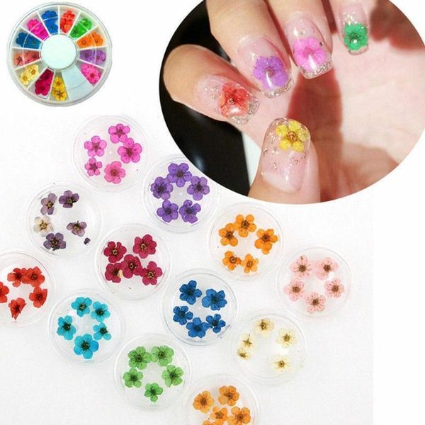 nail art decorations 12/24pcs 3d dried flower decoration mixed natural uv floral sticker polish diy jewelry manicure gel decals b2m8, Silver;gold
nail art decorations 12/24pcs 3d dried flower decoration mixed natural uv floral sticker polish diy jewelry manicure gel decals b2m8, Silver;gold