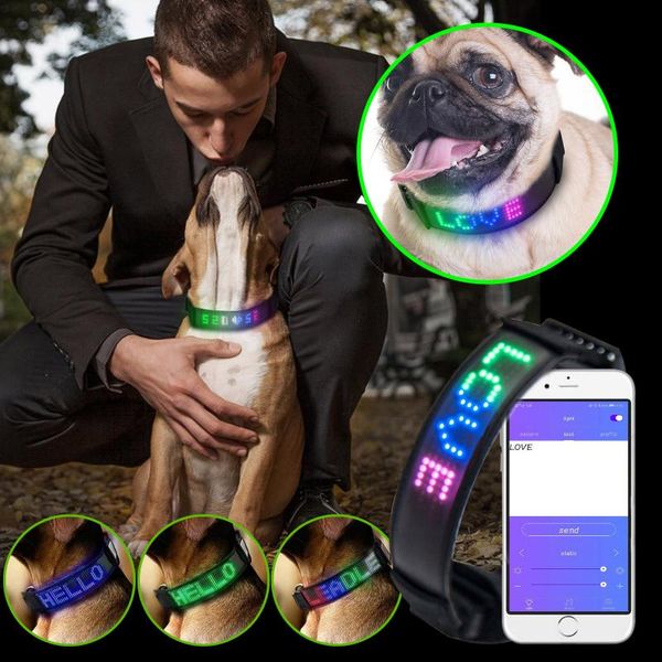 dog collars & leashes flashing glowing light led supplies products cat pet collar adjustable luminous night safety glow in dark
dog collars & leashes flashing glowing light led supplies products cat pet collar adjustable luminous night safety glow in dark