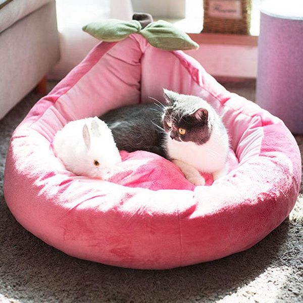 deep sleep cat nest cute dog bed house dog mat winter warm sleeping cats nest soft basket pet cushion portable pets supplies
deep sleep cat nest cute dog bed house dog mat winter warm sleeping cats nest soft basket pet cushion portable pets supplies