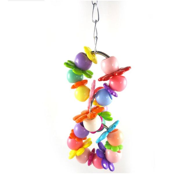 other bird supplies 1 pcs colorful parrot pet parakeet cockatiel cage flower ring swing hanging toys birds accessories
other bird supplies 1 pcs colorful parrot pet parakeet cockatiel cage flower ring swing hanging toys birds accessories
