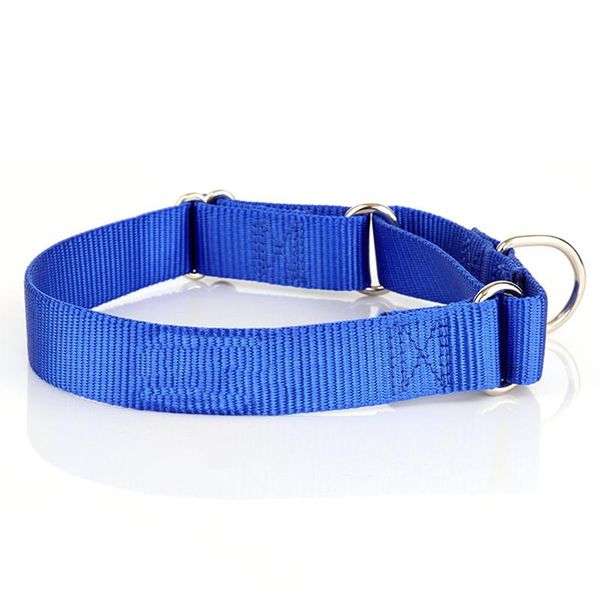 dog collars & leashes martingale for dogs heavy duty nylon collar 
dog collars & leashes martingale for dogs heavy duty nylon collar
