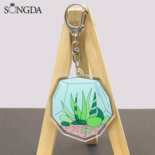 keychains potted green plant acrylic keychain terrarium cactus aloe double-sided car keyring trendy jewelry decorations gifts, Silver
keychains potted green plant acrylic keychain terrarium cactus aloe double-sided car keyring trendy jewelry decorations gifts, Silver