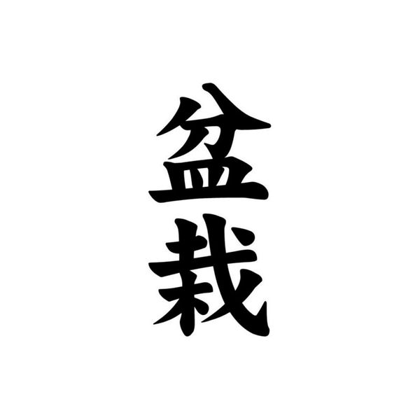 6.5cm*13.5cm creative bonsai chinese kanji high-quality vinyl decal car sticker black/silver c15-0066
6.5cm*13.5cm creative bonsai chinese kanji high-quality vinyl decal car sticker black/silver c15-0066