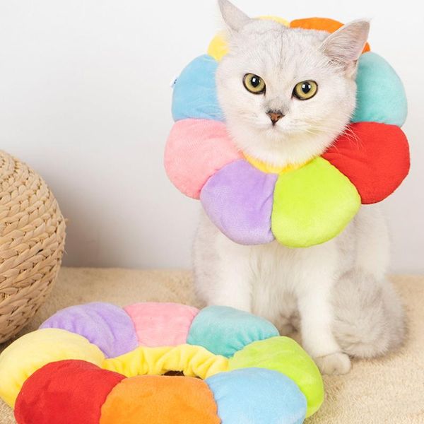 cat collars & leads elizabeth collar soft circle dog anti-scratch anti-licking headgear shame pet supplies protection
cat collars & leads elizabeth collar soft circle dog anti-scratch anti-licking headgear shame pet supplies protection