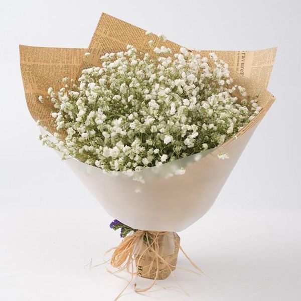decorative flowers & wreaths 50cm artificial potted plant plastic simulation flower diy arrangement for home wedding decor
decorative flowers & wreaths 50cm artificial potted plant plastic simulation flower diy arrangement for home wedding decor