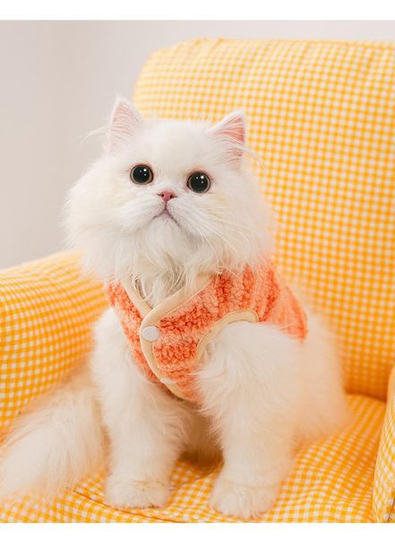 cat costumes dogs soft pet dog sweater clothing for winter chihuahua clothes classic outfit small
cat costumes dogs soft pet dog sweater clothing for winter chihuahua clothes classic outfit small